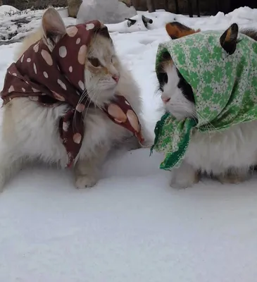 👉ВЕЖЛИВЫЕ СЛОВА В СТИХАХ.... - Развивающие игрушки для детей | Facebook