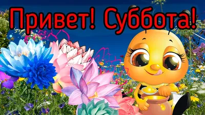 Суббота открытки - 69 фото