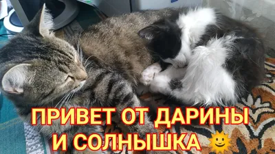 ТАНЮША💝💝💝СОЛНЫШКО🤗🤗🤗 (@)'s videos with оригинальный звук  - Андрей Юханен - Juhanen | Ю́ханен | TikTok