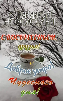 С Добрым Утром.🌺 Шлю Привет! 🌺 Пусть Прольётся Счастья Свет🌺💌 - YouTube