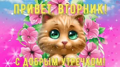 Болталочка о том, о сем. | kitty house | Дзен