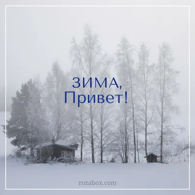 Привет, зима. смешные пингвины нового года в шляпах. новая годовая карта.  графические объекты с цветом. вектор. Стоковое Изображение - изображение  насчитывающей чертеж, влюбленность: 233251635