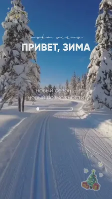 Мужская пижама "Привет, зима!" 2148-К / Серый - купить оптом и в розницу от  производителя по цене 1 035 руб. с доставкой по всей России | Текстильный  центр РИО Иваново