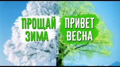 Привет, зима! Согревающие обеды, пироги и сладости для тех, кто замерз  Наталья Сеченова - купить книгу Привет, зима! Согревающие обеды, пироги и  сладости для тех, кто замерз в Минске — Издательство Эксмо