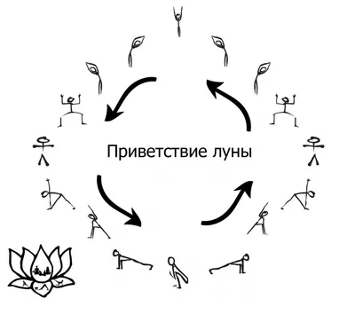 Чандра Намаскар. Приветствие луны | Фитнес от Мэри Поппинс