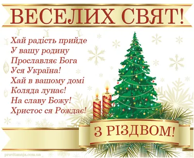 З Різдвом Христовим 2022 — вітання, листівки та картинки зі святом 7 січня  - Телеграф