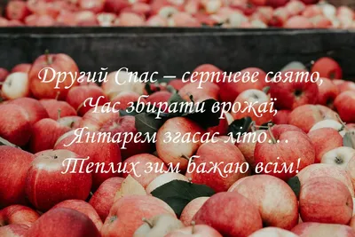 Картинки з Яблучним Спасом 2023: листівки Преображення Господнє – Люкс ФМ