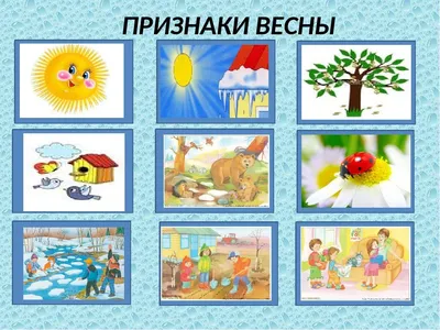 Признаки весны worksheet | Live Worksheets