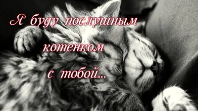 Лучшие идеи (27) доски «Карточки о любви» | открытки, милые открытки,  поздравительные открытки