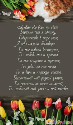 Бюджетное признание в любви — Парламентская газета «Тюменские известия»