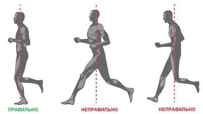 Здоровье человека: польза бега | Новости Беларуси|БелТА