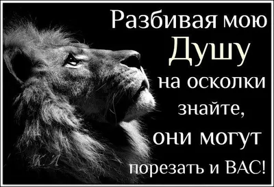 Жаль, что нет такой таблетки, когда болит душа... Выпил и отпустило... |  Правдивые цитаты, Мудрые цитаты, Цитаты