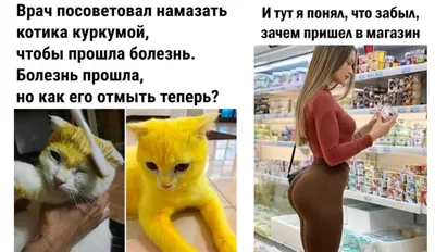 Что такое мононуклеоз, которым переболела фигуристка Анна Щербакова, кто  ещё из спортсменов сталкивался с этой болезнью - Чемпионат