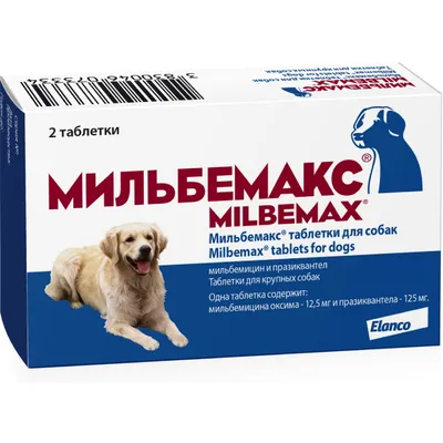 Формула Натурал Super Premium Life для Взрослых Собак средних и больших  Размеров (пород) - Adimax. Alimentos para cães e gatos.