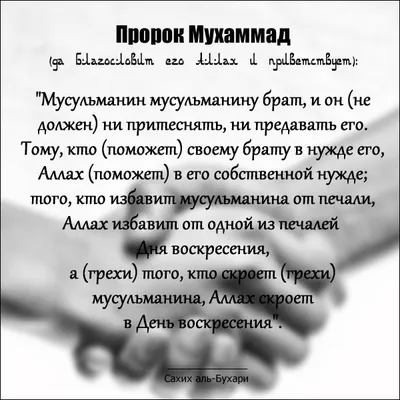 Пророк Мухаммад (да Благословит Его Аллах и Приветствует) сказал:  "Мусульманин мусульманину брат, и он не д… | Мусульманские цитаты,  Правдивые цитаты, Мудрые цитаты