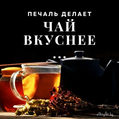 Как заваривать черный чай | Блог интернет-магазина кофе и чая ☕ Ekava