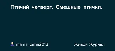 Волшебная Миля - детский развлекательный центр