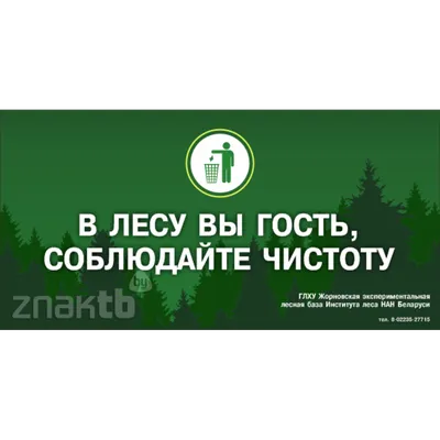 Табличка, Соблюдайте чистоту ИНФОМАГ 86219764 купить за 309 ₽ в  интернет-магазине Wildberries