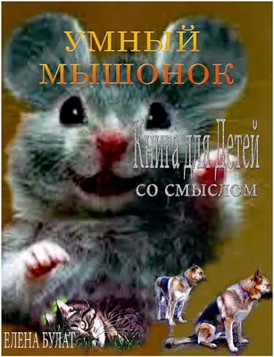 20 добрых дел РЦПИ». «Бежим со смыслом» во Всемирный день защиты детей.