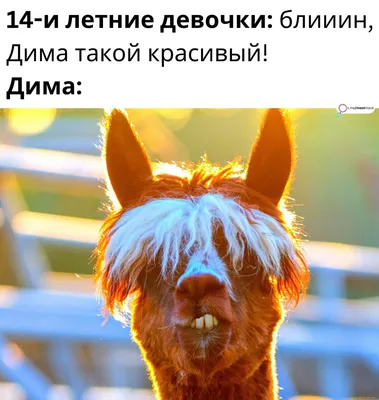 Лучшие шутки и мемы про выступление пьяного Димы Билана в Казахстане (7  фото) » Триникси
