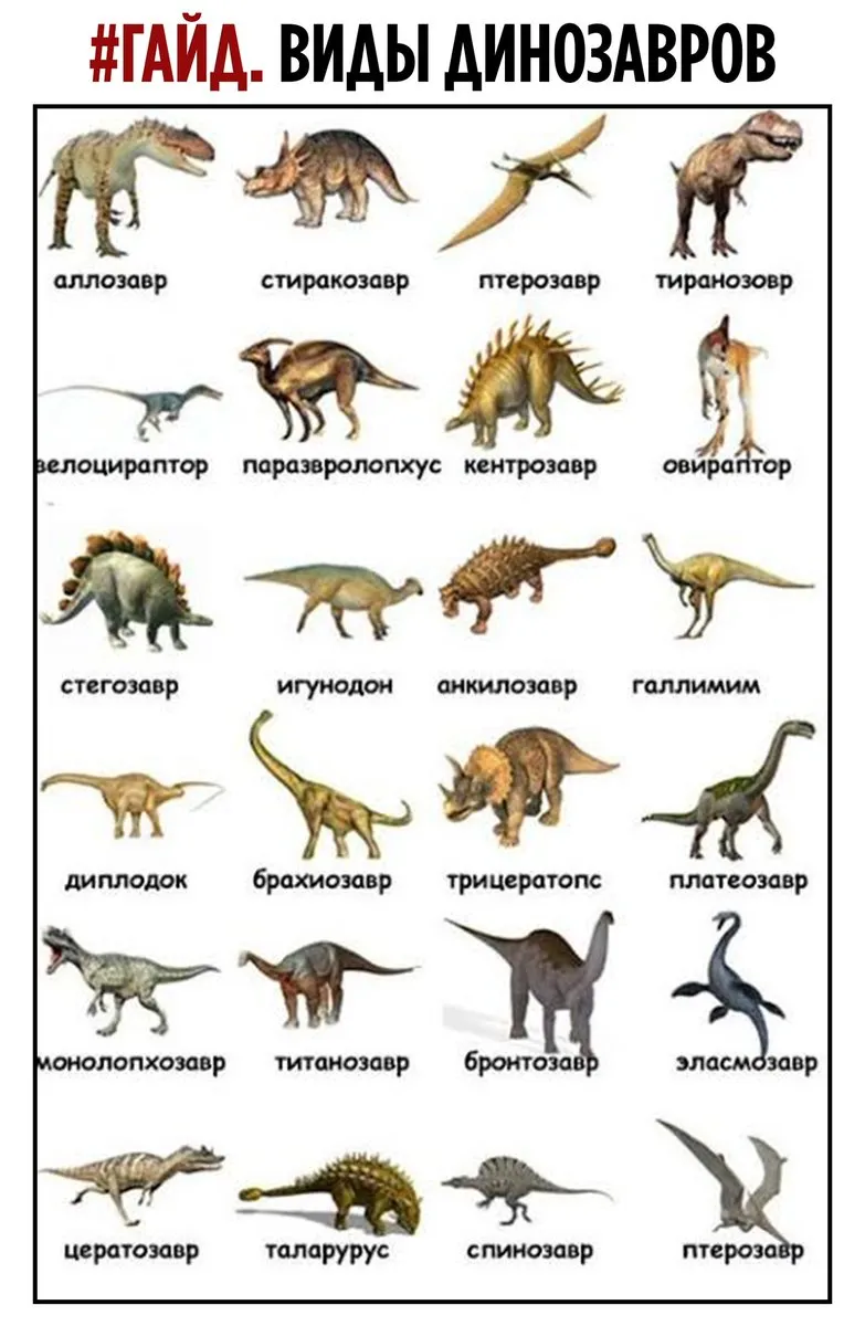 Энциклопедия про динозавров для детей с картинками