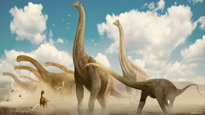 Динозавры онлайн dinosaurs, бесплатно динозавры хищные, фото динозавры  юрского периода, доисторические динозавры в картинках, самый большой  динозавр, виды динозавров энциклопедия, скелет динозавра, названия  динозавров эпоха, ихтиозавры, плезиозавры ...