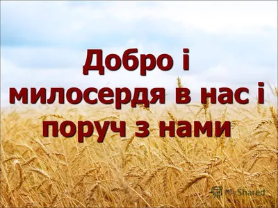 Доброта согревает душу человека. Как отметить Всемирный день доброты | Сила  слова | Дзен