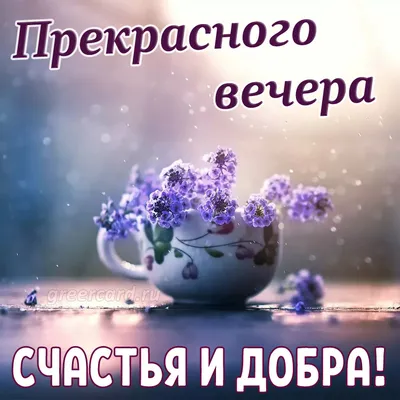 Добрый Вечер!🤗🌹 | Веселые картинки, Ночь, Закаты