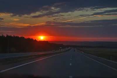 Алла Жураковская | Долгая дорога домой | Дзен