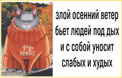 Утро, дождь | Смешно, Удивительные цитаты, Доброе утро