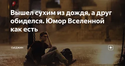 Дождь: истории из жизни, советы, новости, юмор и картинки — Лучшее | Пикабу