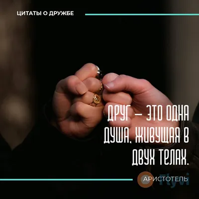 Берегите друг друга | Цитата про путешествия, Цитаты, Жизненная мотивация