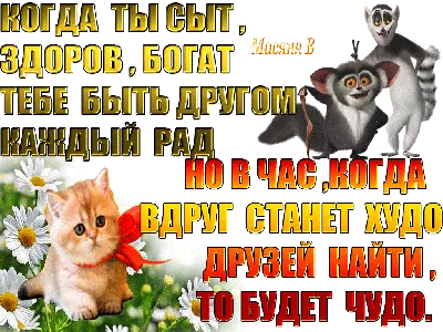 Картинки про друзей и дружбу со смыслом - подборка