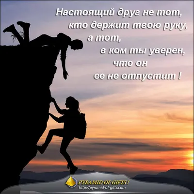 О дружбе красивыми словами: 20 цитат про дружбу, на которые стоит обратить  внимание - 7Дней.ру