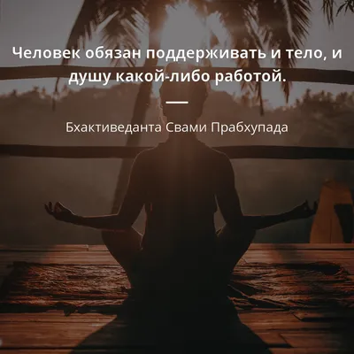 Бхактиведанта Свами Прабхупада цитата: „Человек обязан поддерживать и тело,  и душу какой-либо работой.“