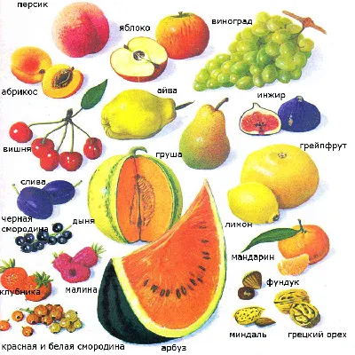 Овощи-фрукты | Удоба - бесплатный конструктор образовательных ресурсов
