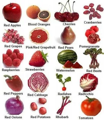 Овощи и фрукты – кладовая здоровья»