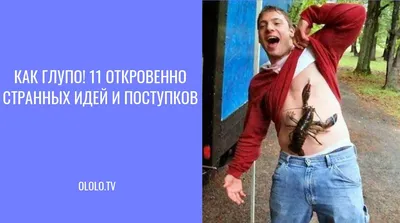 Картинки на тему #Глупость - в Шедевруме