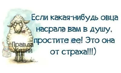 Почему глупые люди опасны? - Философская мысль Аристотеля | Литература души  | Дзен