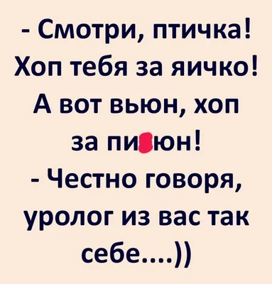 5 негативных привычек, которые выдают глупых людей | Умные люди, Смешные  надписи, Психология