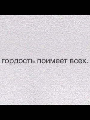 Гордость и предубеждение Издательство АСТ 2135768 купить за 275 ₽ в  интернет-магазине Wildberries