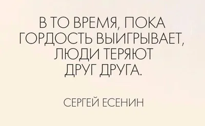 Чем гордость отличается от гордыни? - Стоит запомнить эту цитату Ильи  Шевелева | Литература души | Дзен