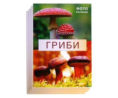 Купить книгу Плакат Їстівні та отруйні гриби. в Украине