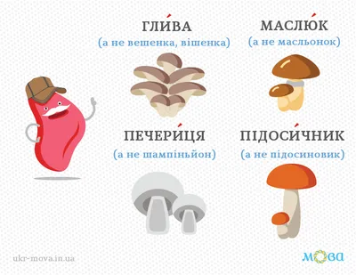 Гриби: це корисно чи смертельно небезпечно? – Зазимська сільська  територіальна громада