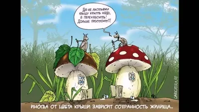 Смешные грибы. | Comics, Cartoonist, Comic strips