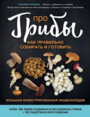 Какие грибы теперь нельзя собирать в России. И как они выглядят на фото |  РБК Life