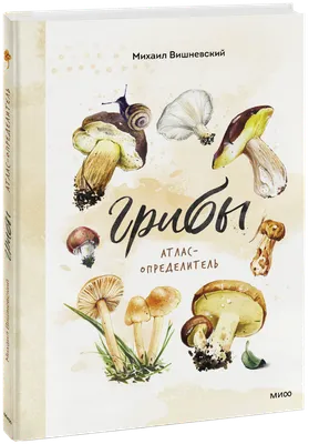 Грибы (Михаил Вишневский, Катерина Зараева) — купить в МИФе