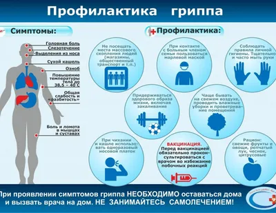 Памятка Птичий грипп: симптомы и лечение / ПАМЯТКИ: ПРОФИЛАКТИКА ГРИППА И  ОРВИ; КОРОНАВИРУСНОЙ ИНФЕКЦИИ: ПТИЧИЙ ГРИПП: СИМПТОМЫ И ЛЕЧЕНИЕ:«СВИНОЙ»  ГРИПП: СИМПТОМЫ И ЛЕЧЕНИЕ. / РДБВЛ