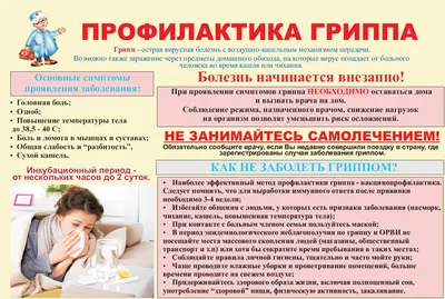 Свиной грипп в Якутии: симптомы и профилактика — ЯСИА