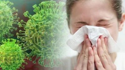Свиной грипп является обычным сезонным гриппом эпидсезона — Департамент  профилактики заболеваний и государственного санитарно-эпидемиологического  надзора